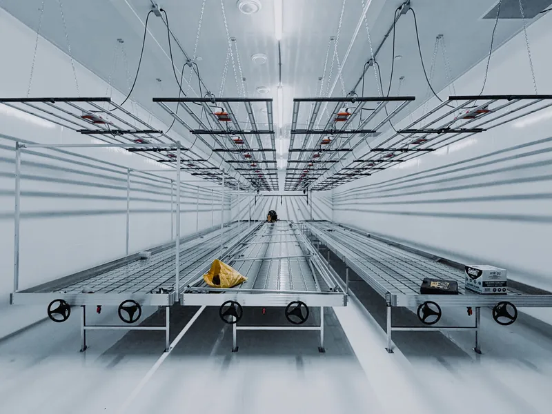 Long perspective down a finished cannabis cultivation room at 35 Silton: rows of white rolling benches under LED grow-light rails, white insulated-panel walls and ceiling running the length of the room, sealed floor.