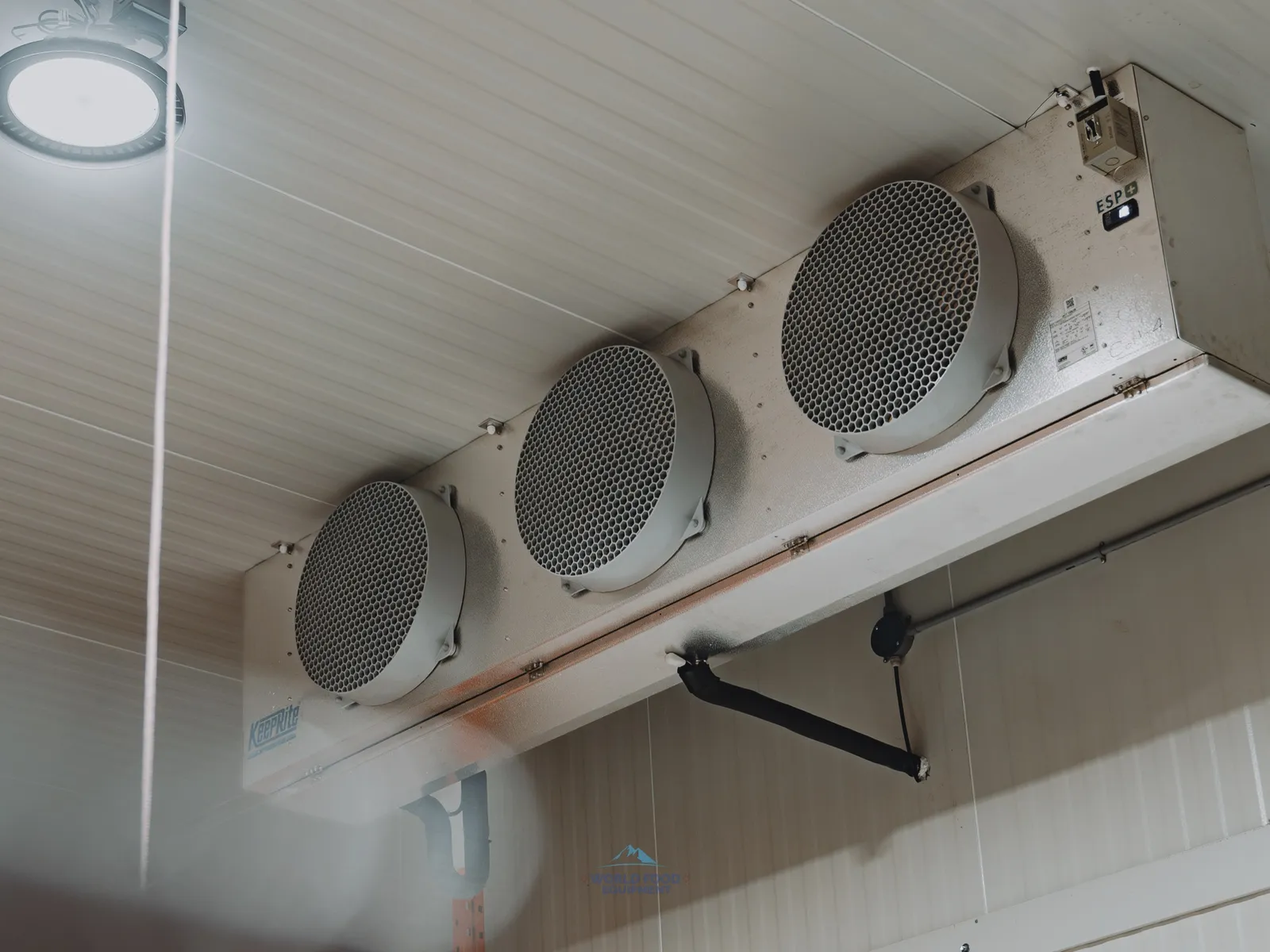 KeepRite ESP+ three-fan ceiling-mounted evaporator close-up at the halal meat processor in Mississauga, KeepRite badge visible on the lower-left of the unit casing, white insulated panel ceiling above, refrigeration drain pipe routed down from the unit.