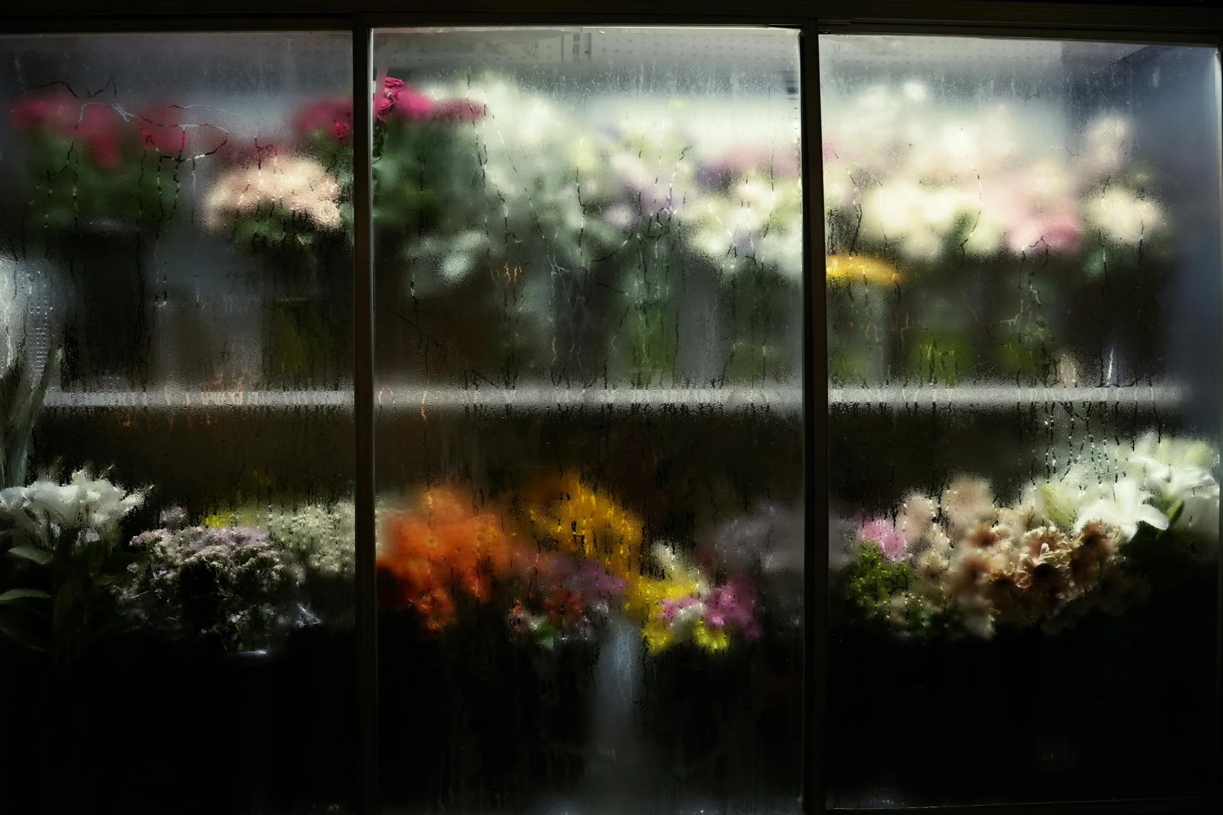 Walk-in florist cooler interior viewed through condensation-covered glass doors, with cut flowers stocked on multiple shelves, illustrating the high-humidity environment required for cut-flower storage