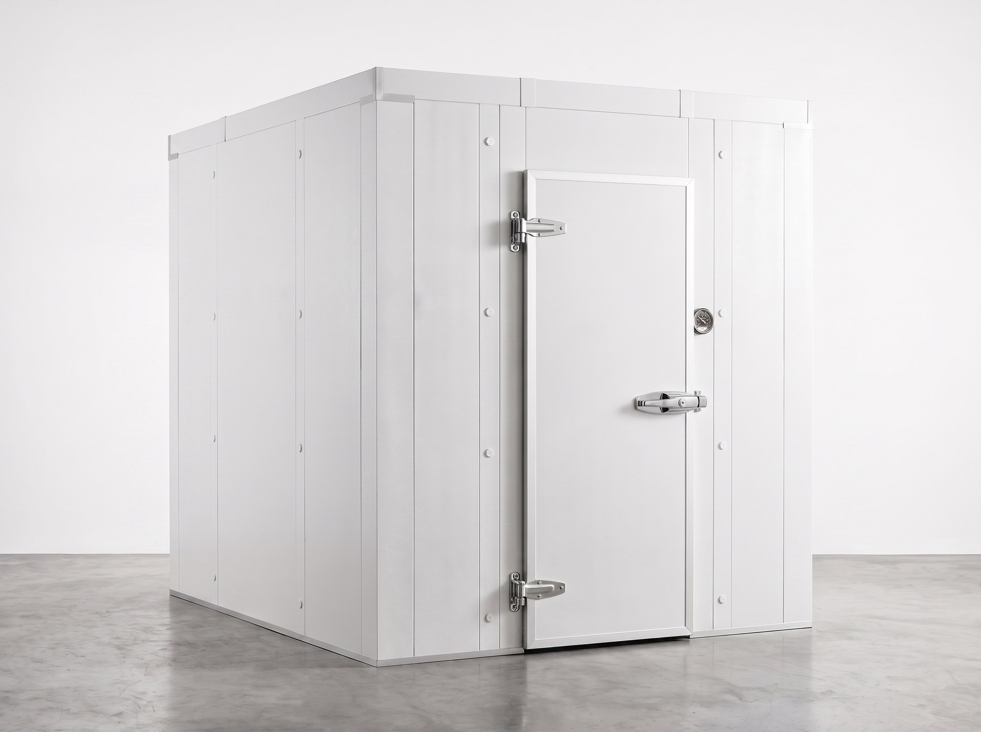 6x8 Walk-In Cooler Box with Door (render, image representative), for sale from World Food Equipment, Mississauga Ontario